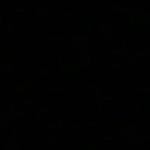 Meet your Posher, Coco